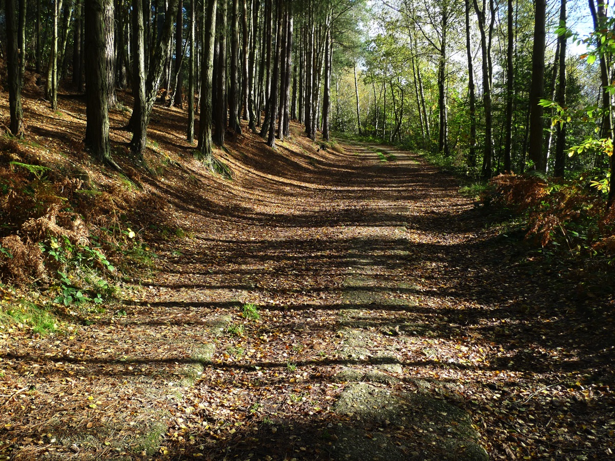 Discover Ash, Surrey Mackenzie Smith Estate Agents