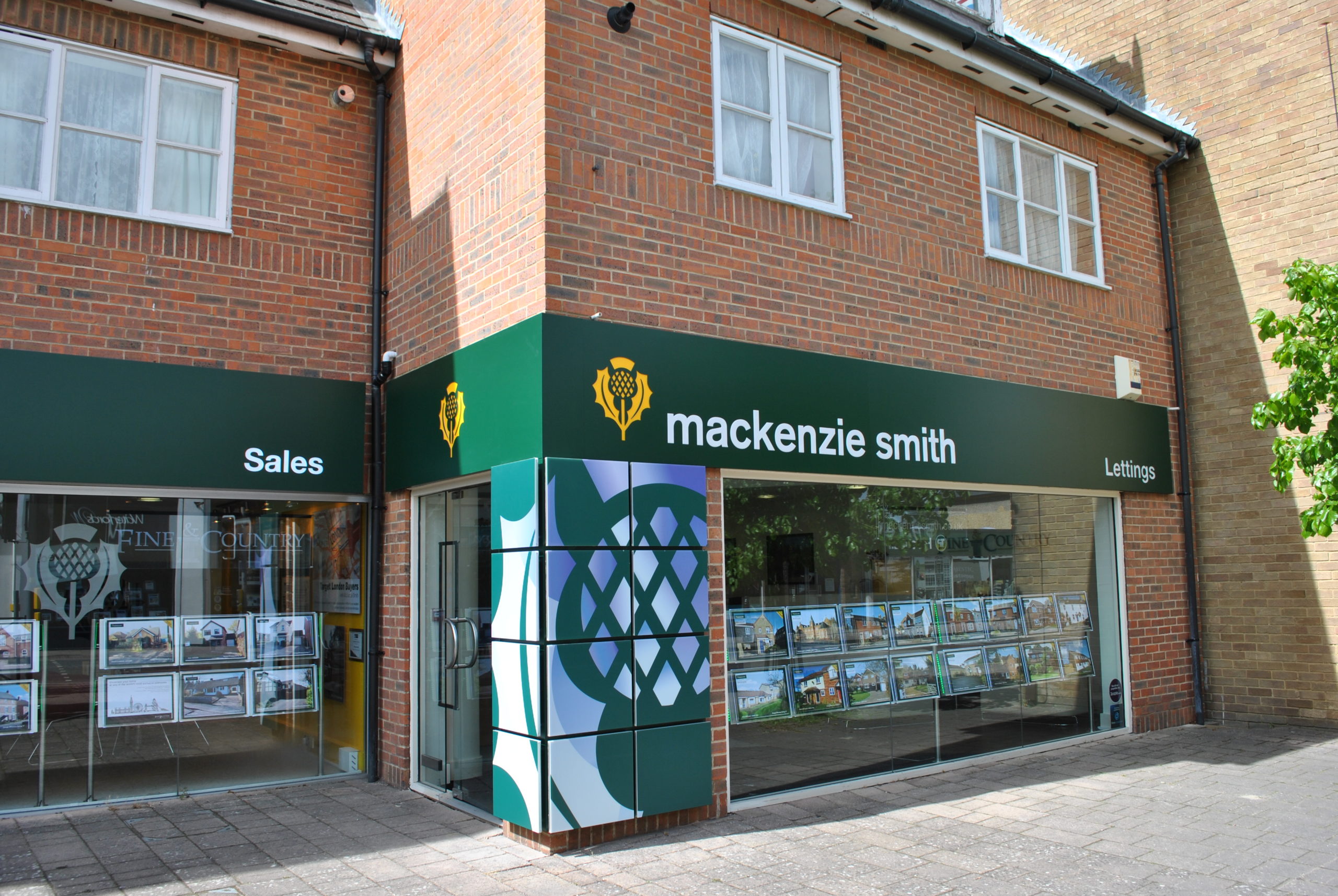 Branch Image